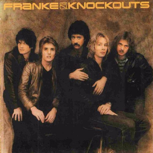 franke & the knockouts