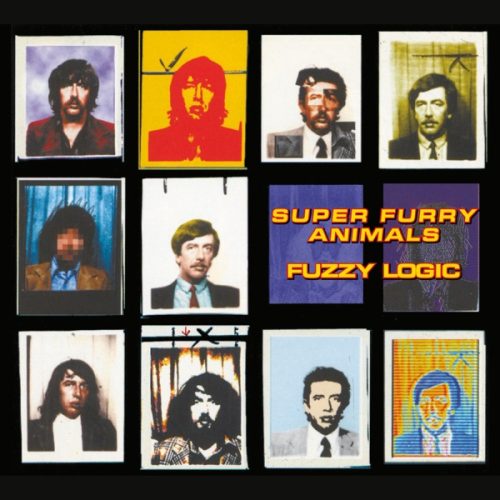 fuzzy logic