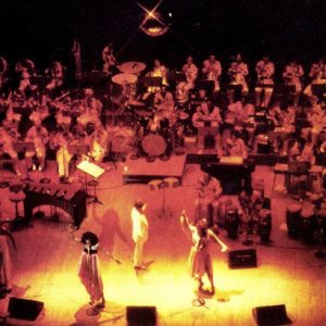 The Salsoul Orchestra